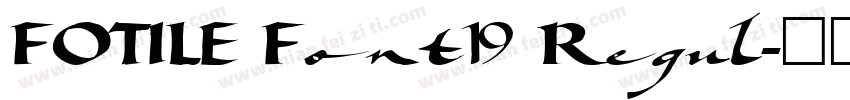 FOTILE Font19 Regul字体转换